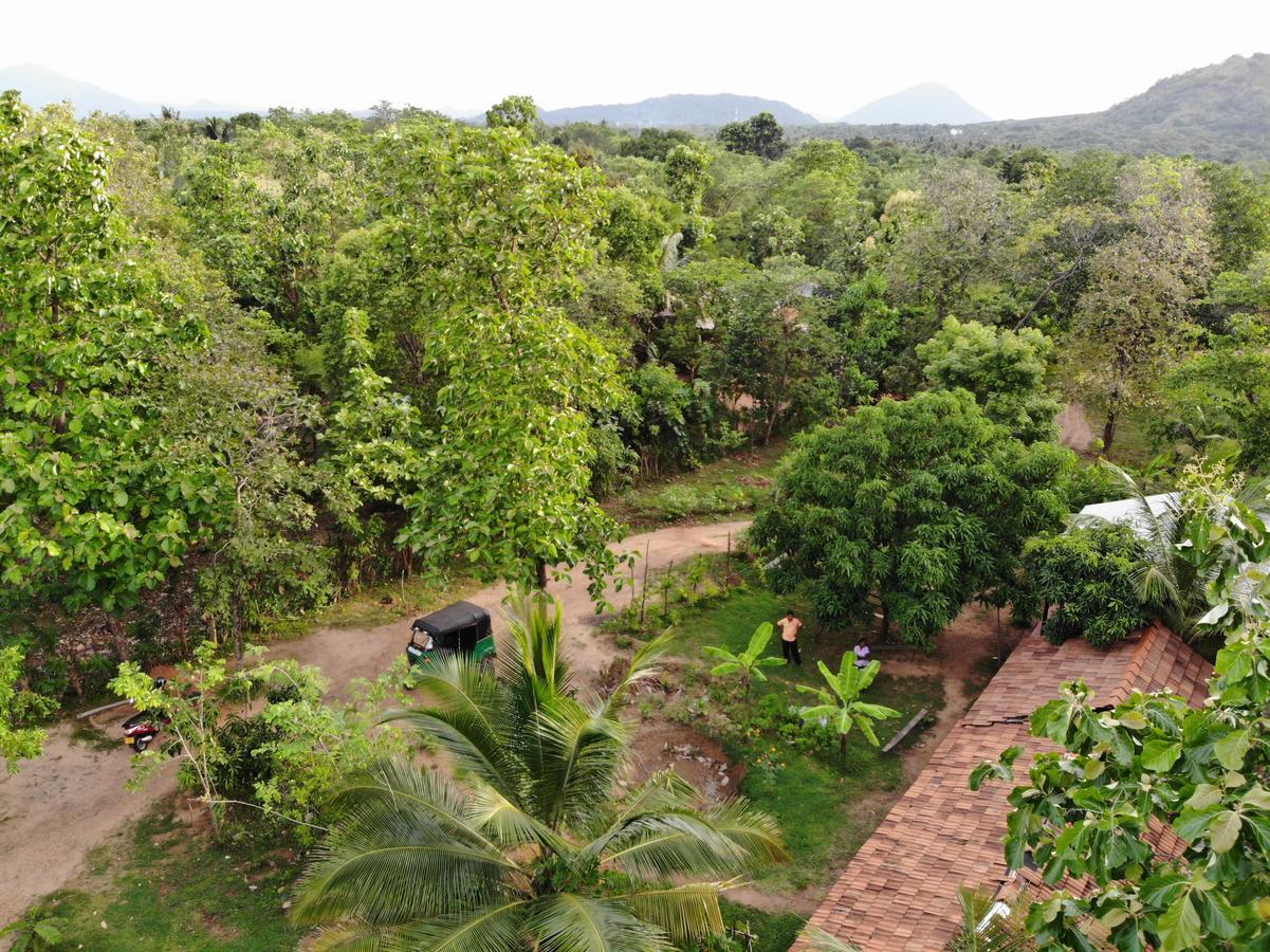 Araliya Self Cooking Resort Dambulla Kültér fotó