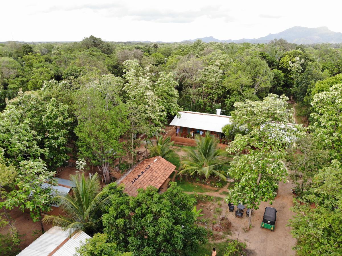 Araliya Self Cooking Resort Dambulla Kültér fotó